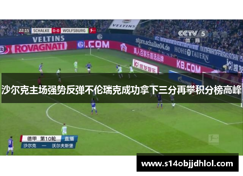 沙尔克主场强势反弹不伦瑞克成功拿下三分再攀积分榜高峰