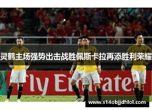 灵鹤主场强势出击战胜佩斯卡拉再添胜利荣耀
