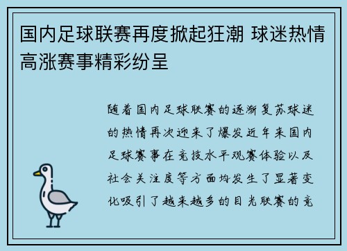 国内足球联赛再度掀起狂潮 球迷热情高涨赛事精彩纷呈