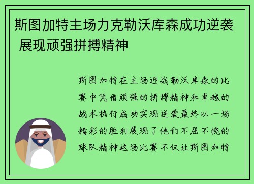 斯图加特主场力克勒沃库森成功逆袭 展现顽强拼搏精神