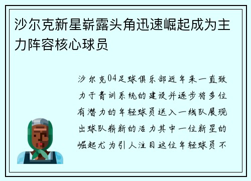 沙尔克新星崭露头角迅速崛起成为主力阵容核心球员