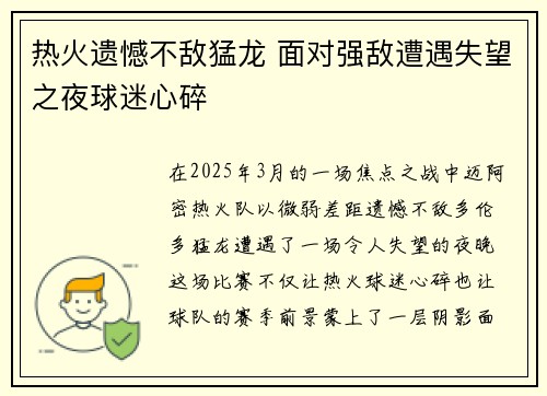热火遗憾不敌猛龙 面对强敌遭遇失望之夜球迷心碎